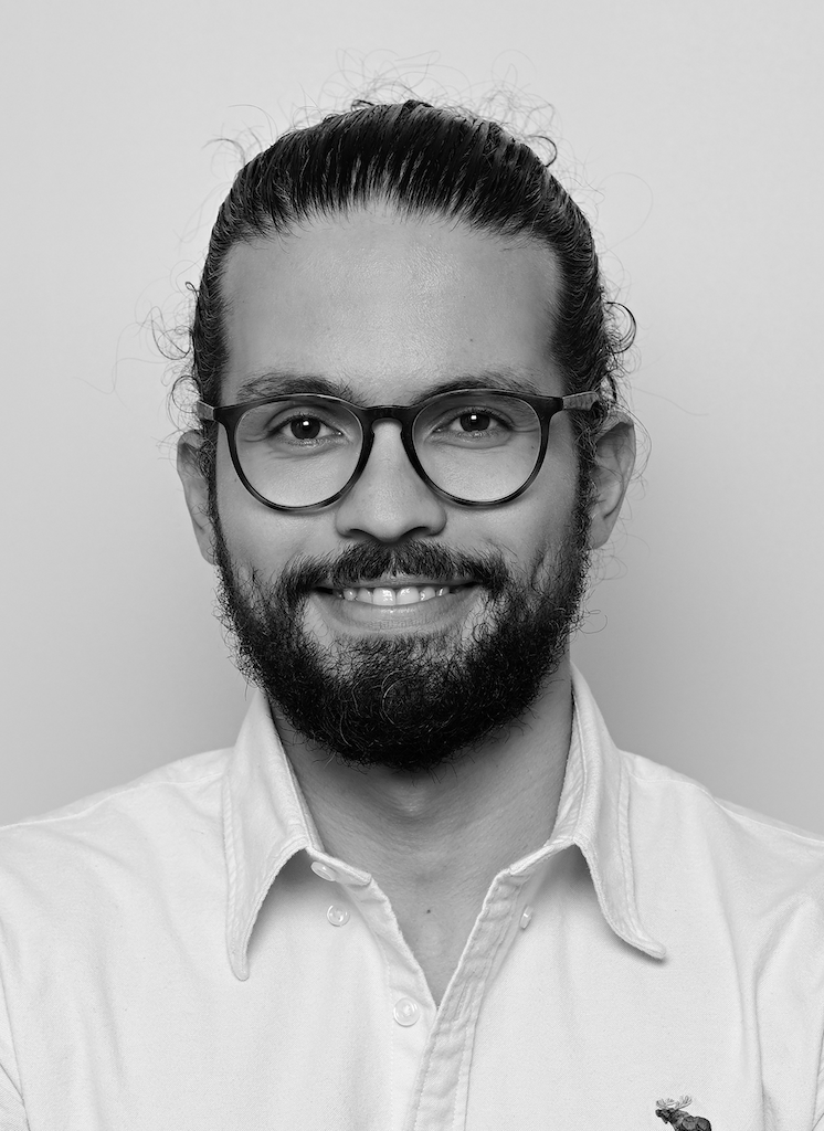 Alaa Eldash